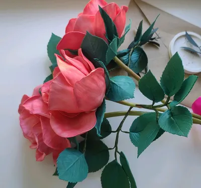 Фотография иранской розы в формате png