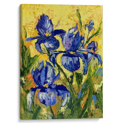 Ирисы ван Гога: цветочное волшебство в вашем домашнем спа