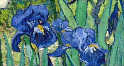 Ирисы ван Гога: цветочное волшебство в вашем уютном уголке