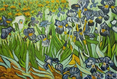 Ирисы Ван Гога: картина в формате PNG