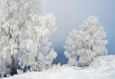 Иркутск в зимнем наряде: Фото и изображения города