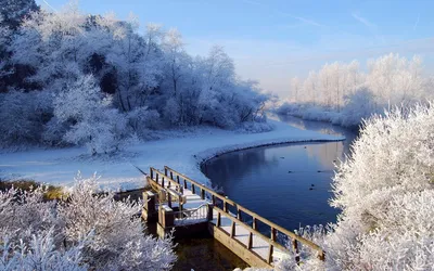 Зимний фотопарад: Лучшие снимки Ирландии