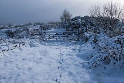 Фотографии Ирландии под покрывалом снега