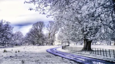 Ирландские морозные чудеса: Фотографии зимы