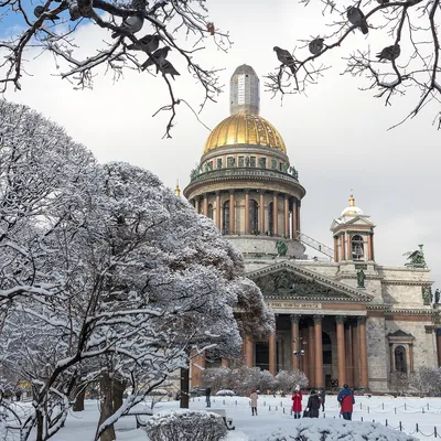 Исаакиевский собор зимой: Очарование снегопада