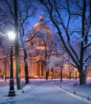 Зимний великолепный Исаакиевский собор: Фотография высокого разрешения