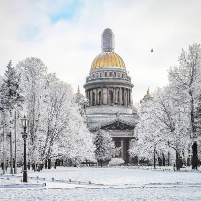 Зимний городской пейзаж: Исаакиевский собор величественно