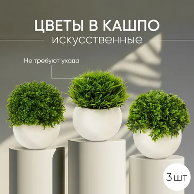 Искусственные цветы на кухне: легкость ухода и красота