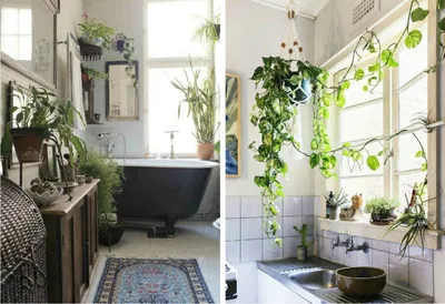 Фото искусственных цветов в ванной комнате: новые картинки