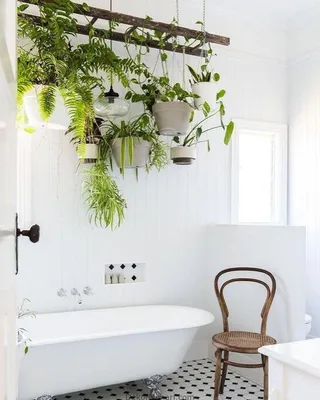 Искусственные цветы в ванной комнате: скачать Full HD изображения