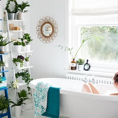 Искусственные цветы в ванной комнате: картинки в хорошем качестве для скачивания