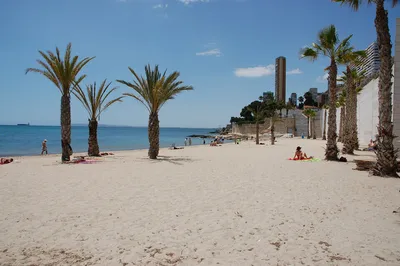 Испанские пляжи: где море и солнце встречаются с красотой природы