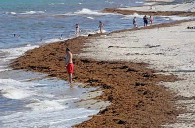 Фотографии пляжей Испании в 4K разрешении