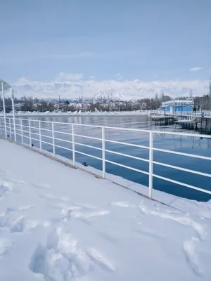 Иссык-Куль в Зимних Красках: Фотографии для Вашего Удовольствия