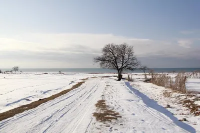 Фотки Иссык-Куля зимой: Загрузите Красоту в Любимом Формате