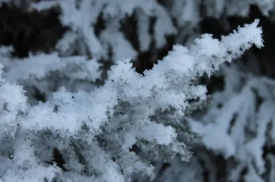 Иссык-Куль зимой: Фотографии, Которые Оживят Ваш Экран