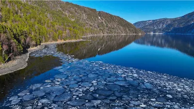 Южные берега Телецкого озера на фото