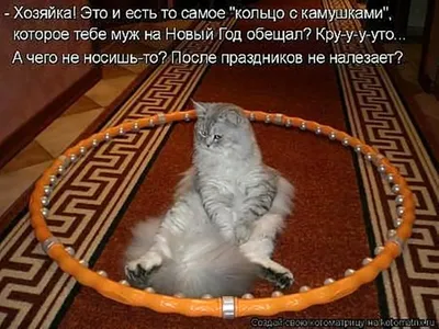 **Новые фотографии с надписями, которые заставят вас посмеяться!**