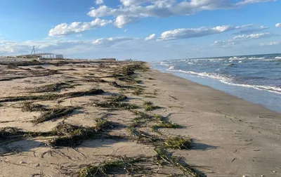 Фотографическое путешествие по Юрьевке: великолепие Азовского моря