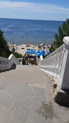 Новые фотографии Юрьевка пляжа