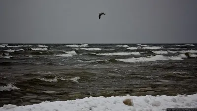 Отдых с видом на Юрмальское море