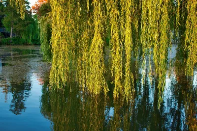 Великолепный Ива водопад на вашем экране: бесплатно скачать фото