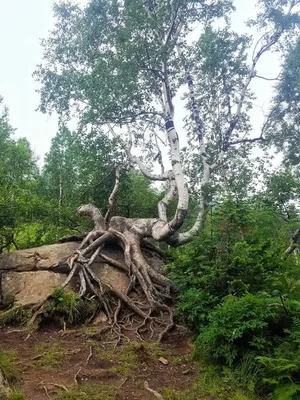 Насладитесь красотой Ивановских озер на фотографиях