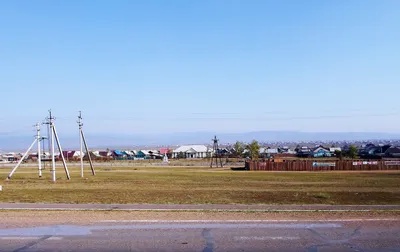 Скачай фото иволги бесплатно в превосходном качестве