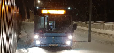 Зимние виды из автобуса: Морозные моменты в объективе