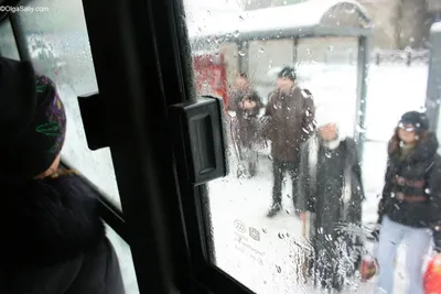 10 Замороженных картин из окна автобуса