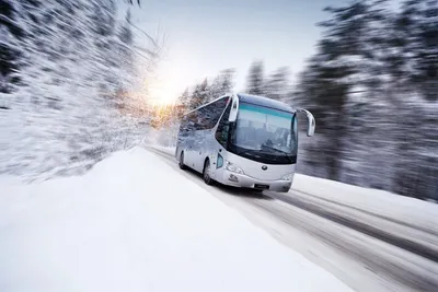 Из окна автобуса: 12 прекрасных моментов зимы