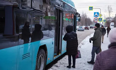 Фотографии синего холода: Зимние зарисовки из автобуса
