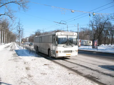 Зимний мир в объективе: Из окна автобуса