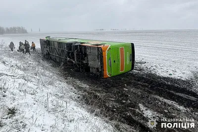 Фотка из автобуса: Зимний момент в объективе