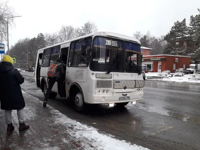 Зимние зарисовки: 33 уникальных фотографии из автобуса