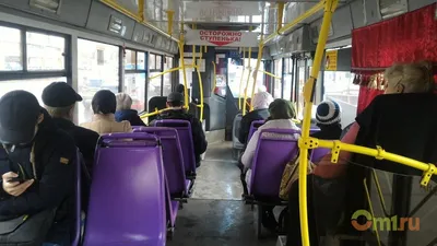 Фотоизображения зимнего пути: Из автобусного окна