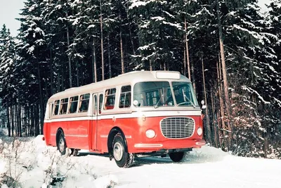 Зимние картины природы: Из автобуса на дороге