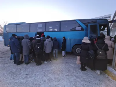 Зимние зарисовки природы: 15 уникальных фотографий из автобуса