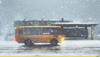 Фото из автобуса зимой: Картинки в разных форматах