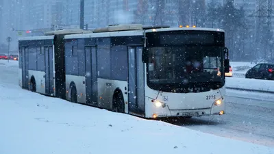 Зимний мир в объективе автобуса: 10 захватывающих моментов
