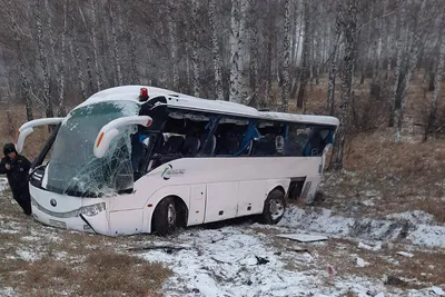 Фотографии зимнего чуда: Из автобуса в разных форматах