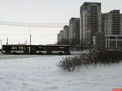 Зимние впечатления: Из автобусного окна в объектив