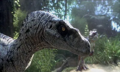 Погрузитесь в мир динозавров с HD изображениями