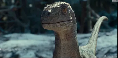 Экскурсия по динозаврьему миру: Незабываемый визуальный опыт Из фильма парк юрского периода
