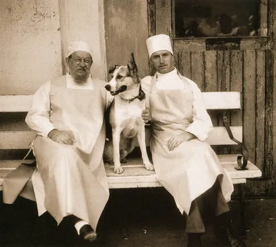 Взгляд в прошлое: раритетные фото из истории Собачьего сердца