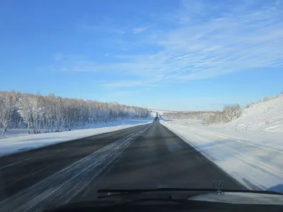 Магия Зимнего Пейзажа: Из окна машины зимой