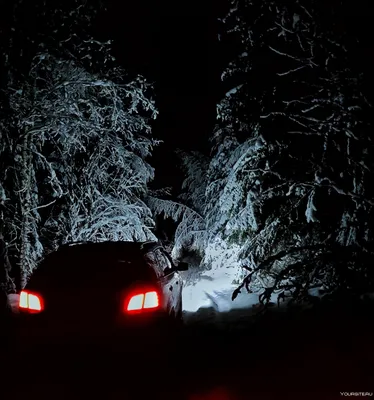 Зимнее Приключение: Картинка из окна авто