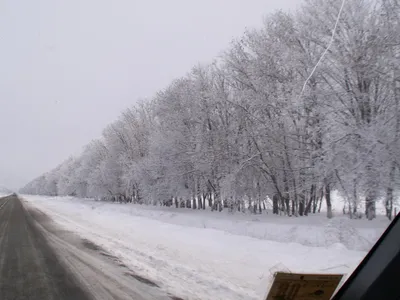 Морозные Окна: Фотка зимнего пейзажа из авто