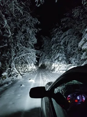 Снежное Покрывало: Из окна машины в снегопад