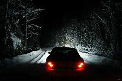 Зимний Силуэт: Фото из окна машины на закате